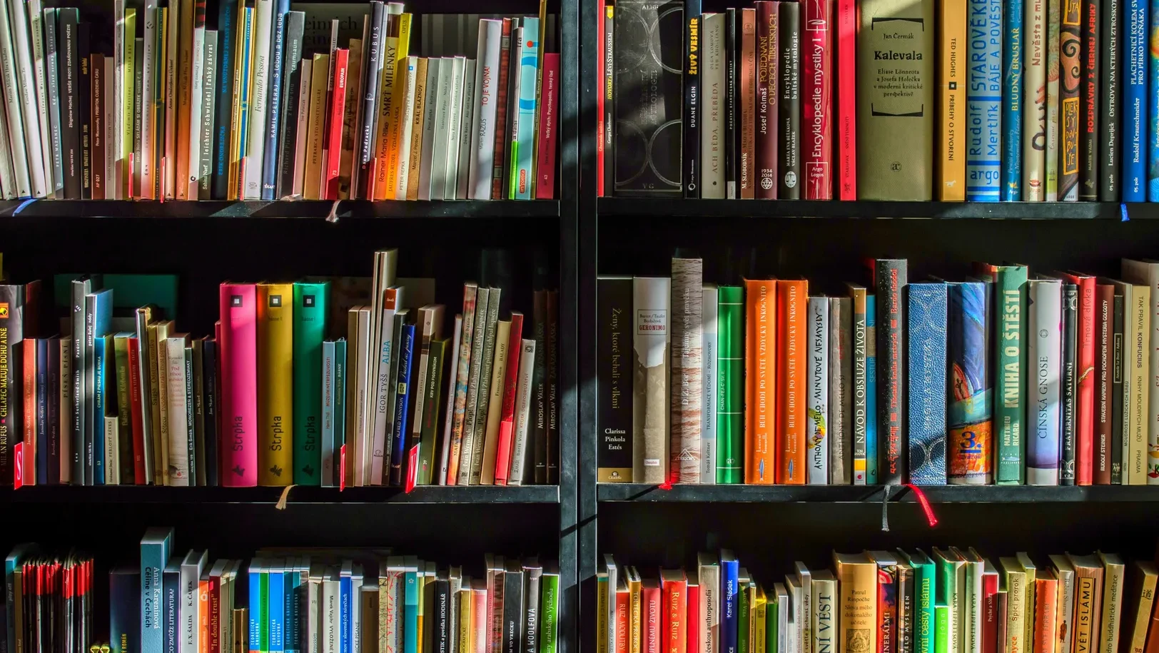 Livros 2