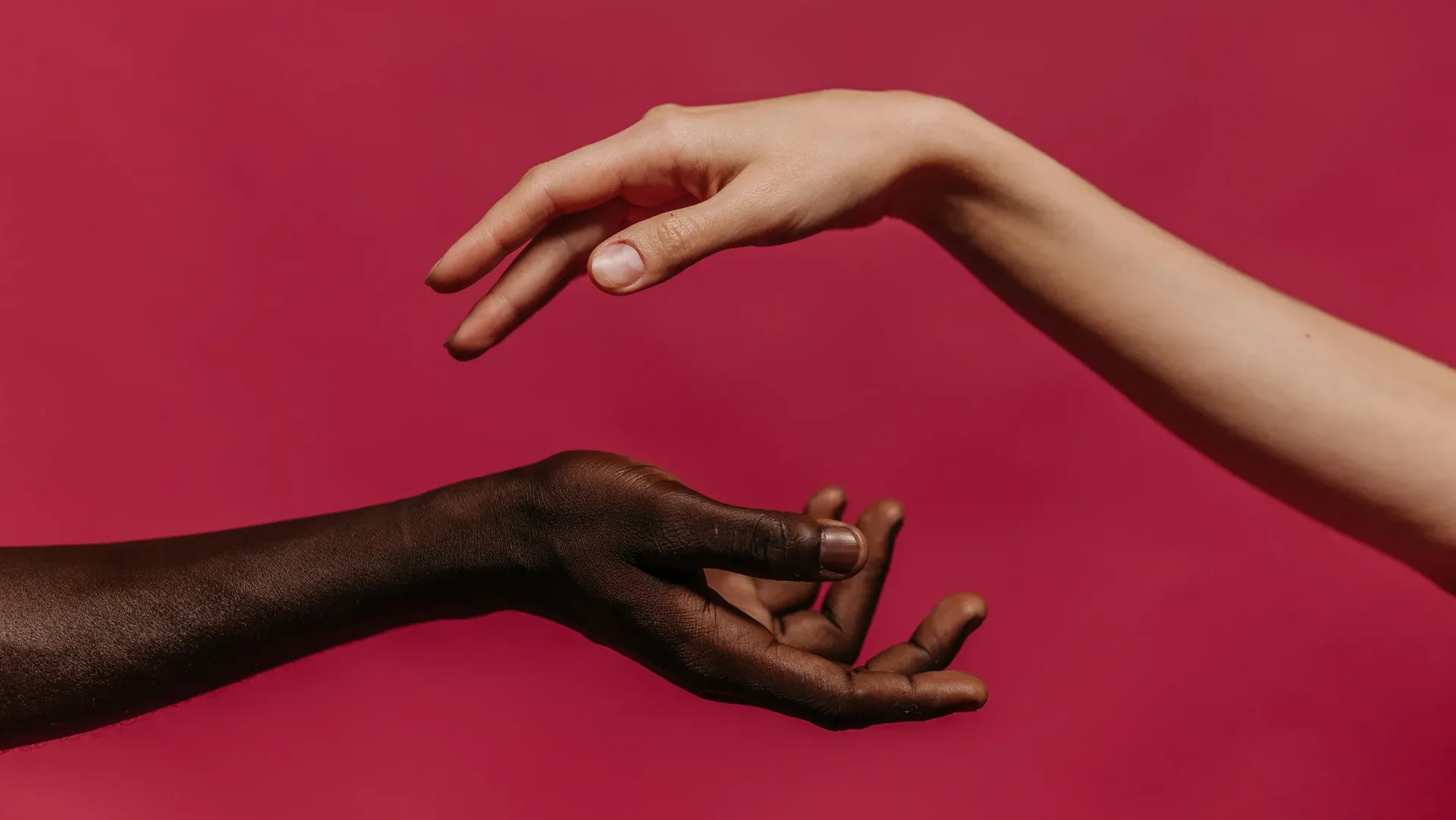 Racismo 2