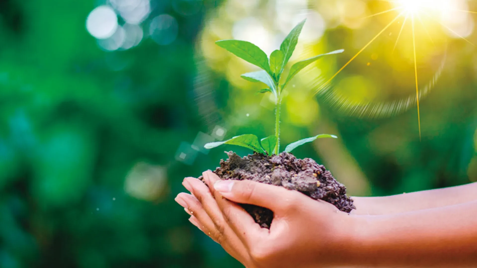 Texto 07 Responsabilidade Social E Ambiental