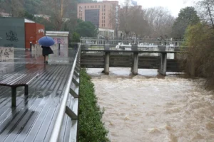 Mau Tempo Leiria Lfc