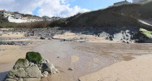 Ictiossauros Praia Agua De Madeiros