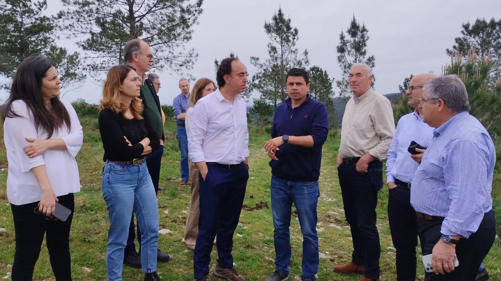 Intervenção Na Floresta De Alqueidão