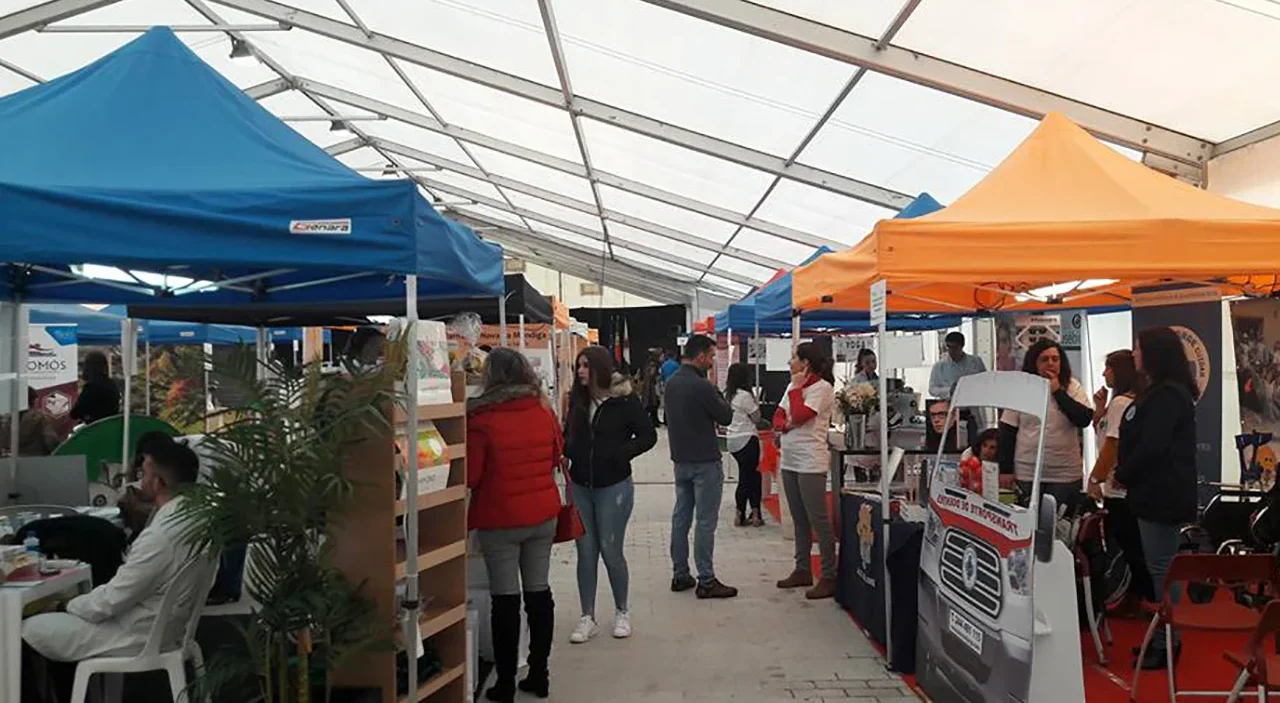 P11 Feira Saude Porto Mos Cmpm