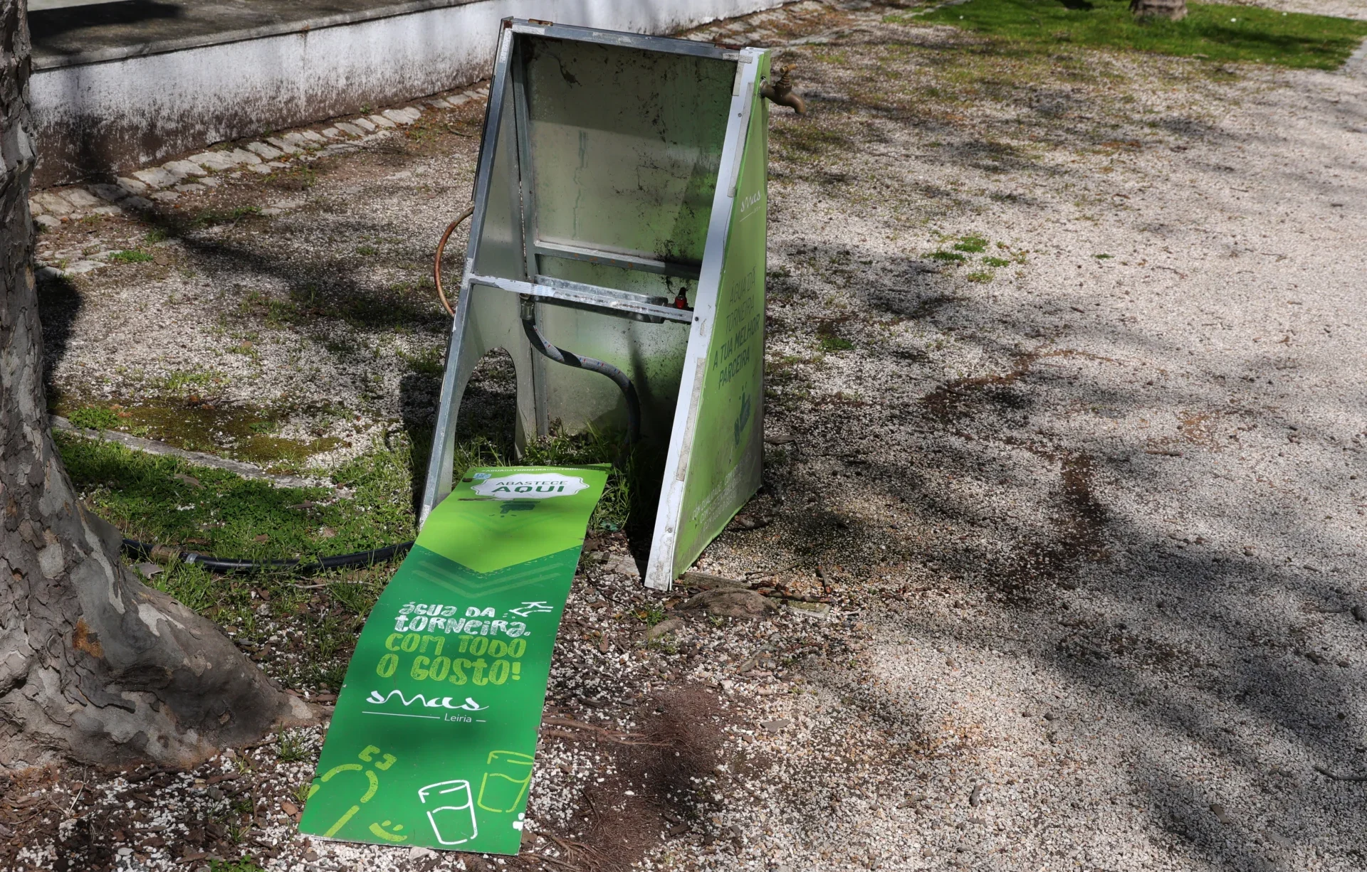 Vandalismo
