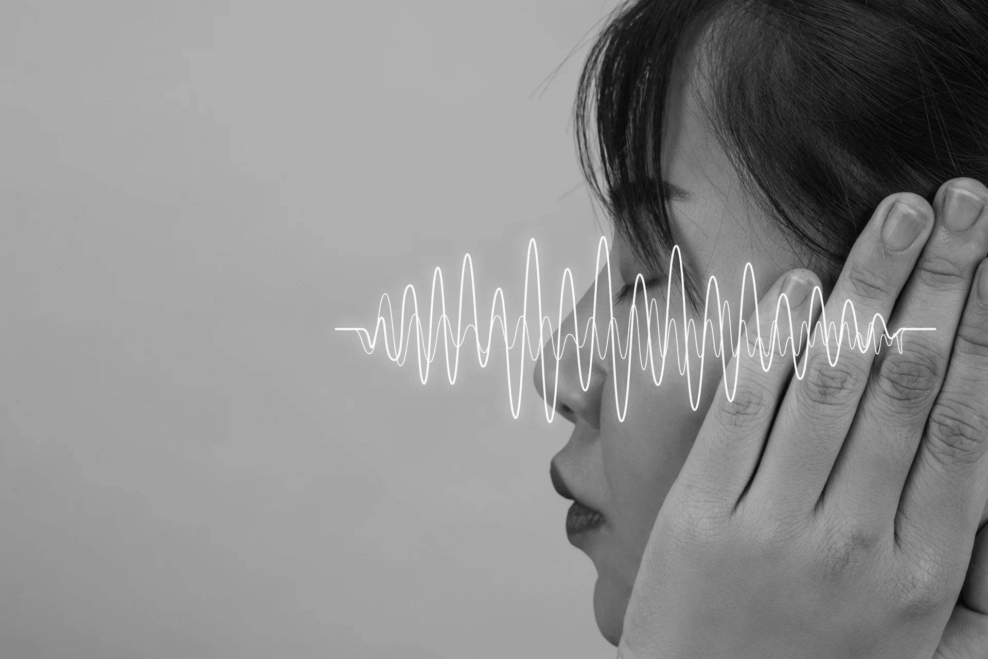 Voz