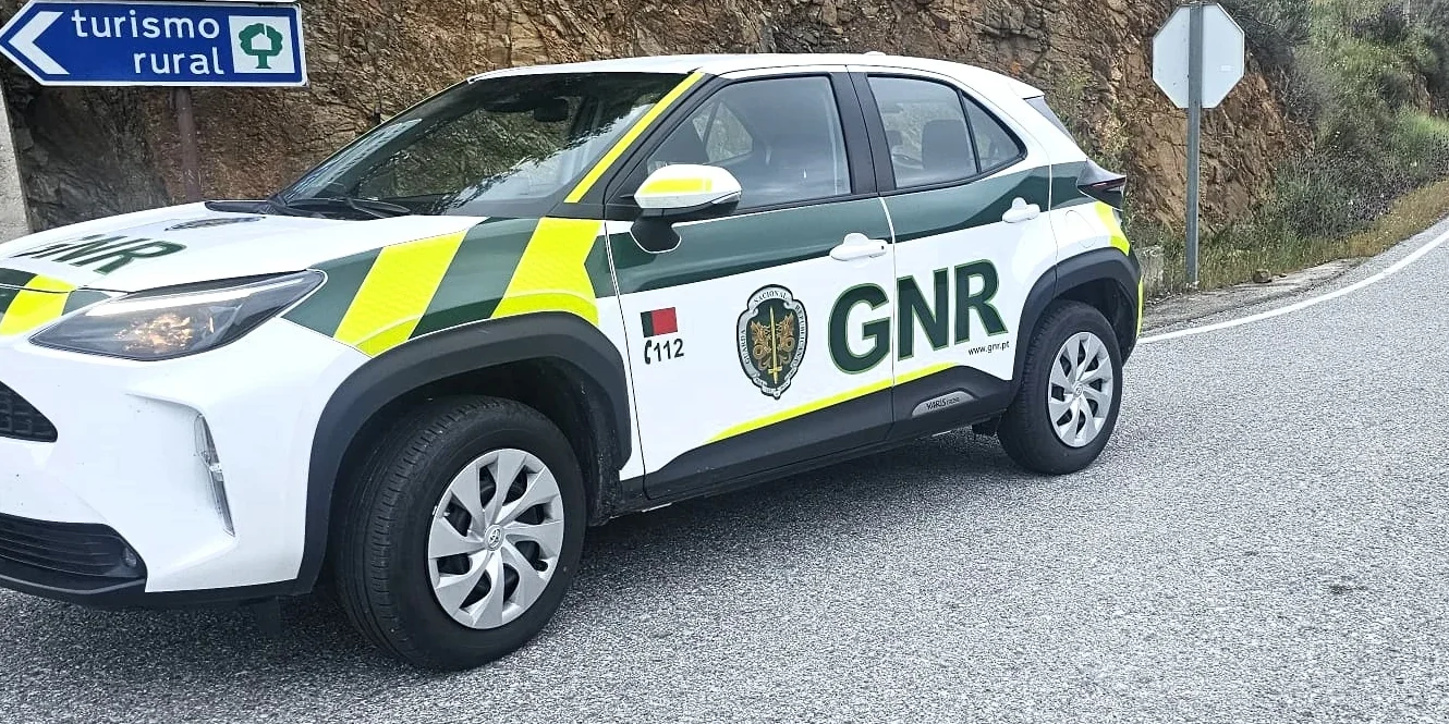 Carro Gnr 2