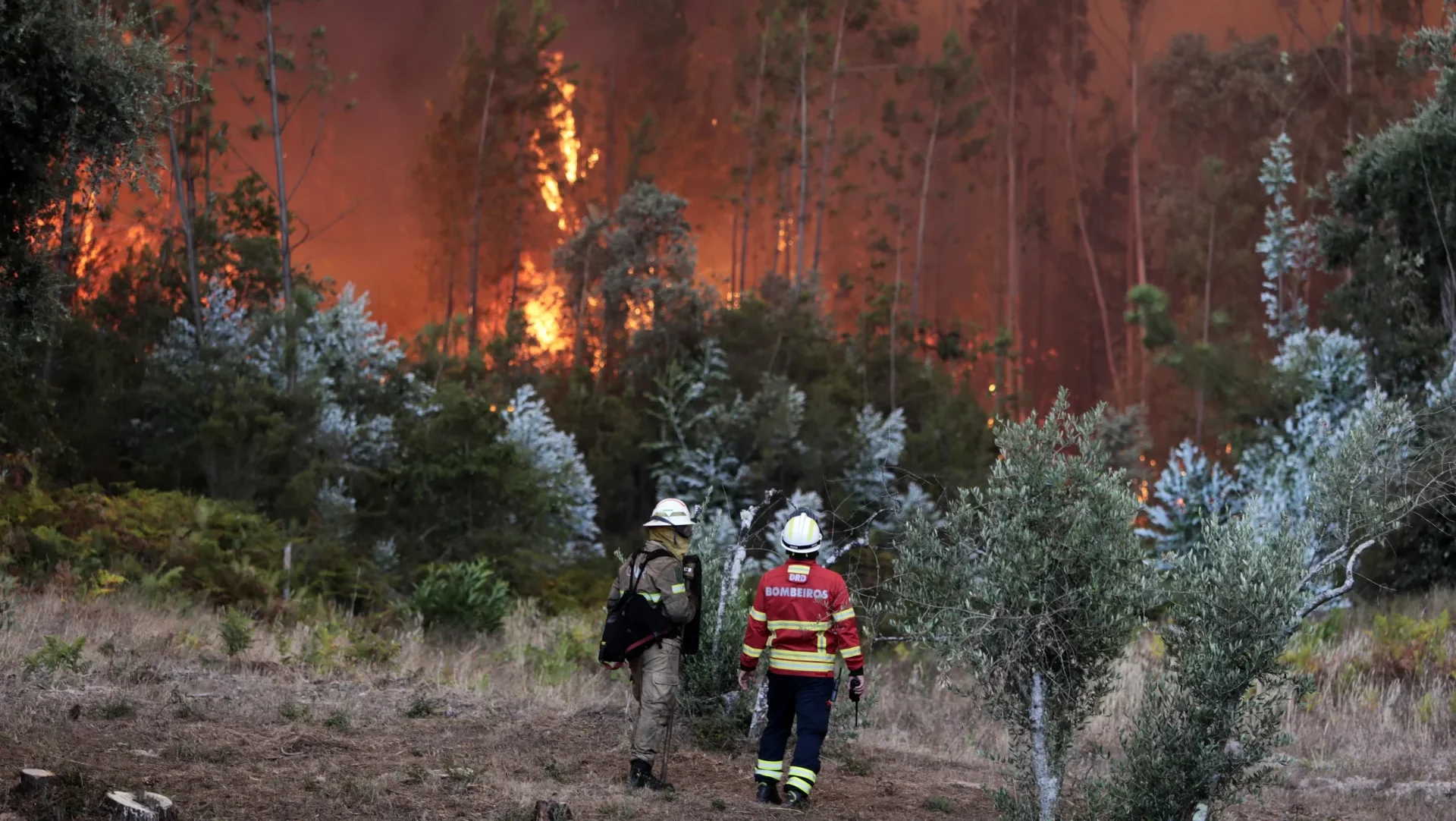 P10 Incendios2023 Lfc