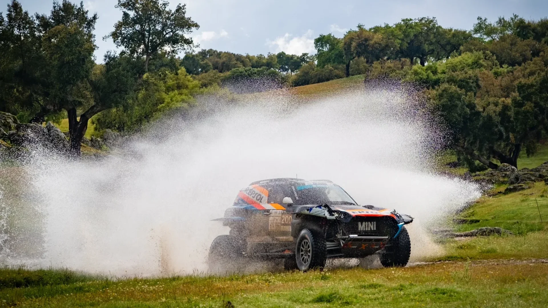 P19 João Ferreira