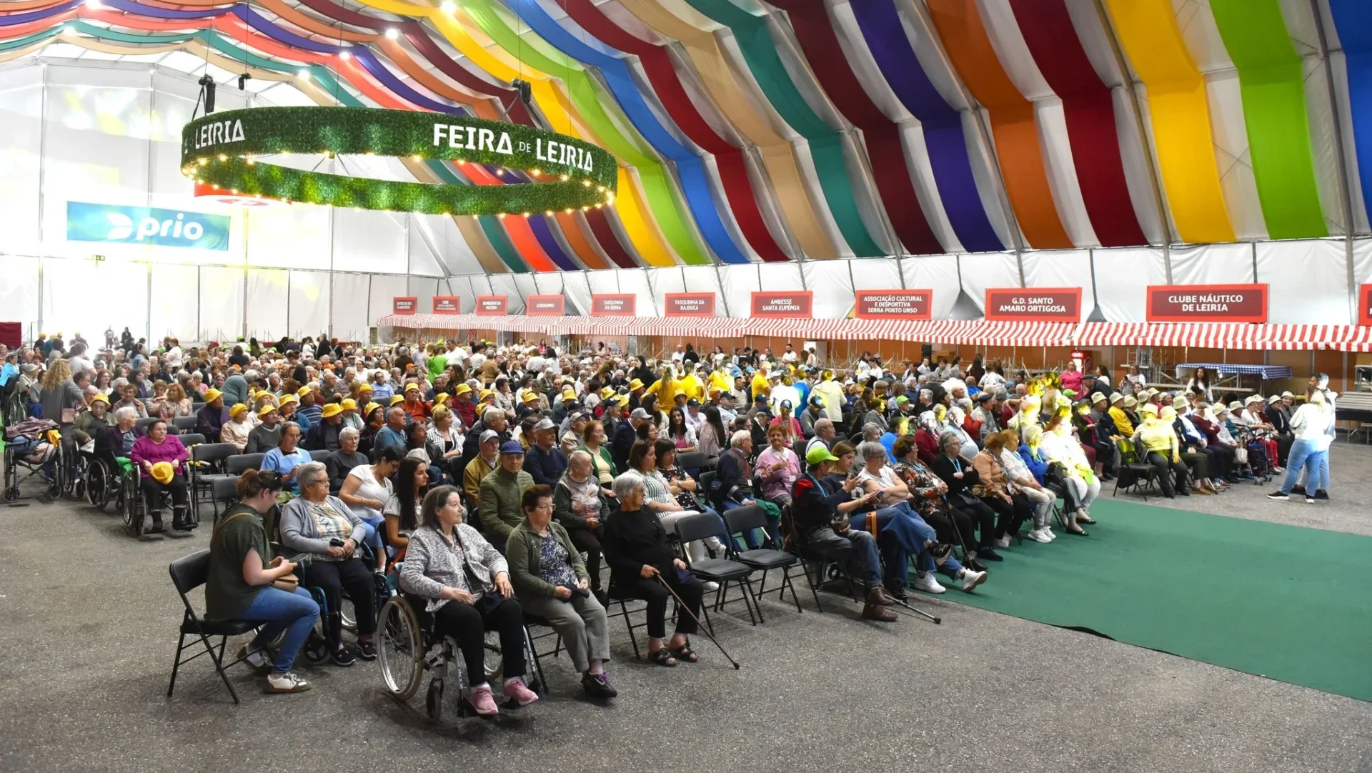 Seniores