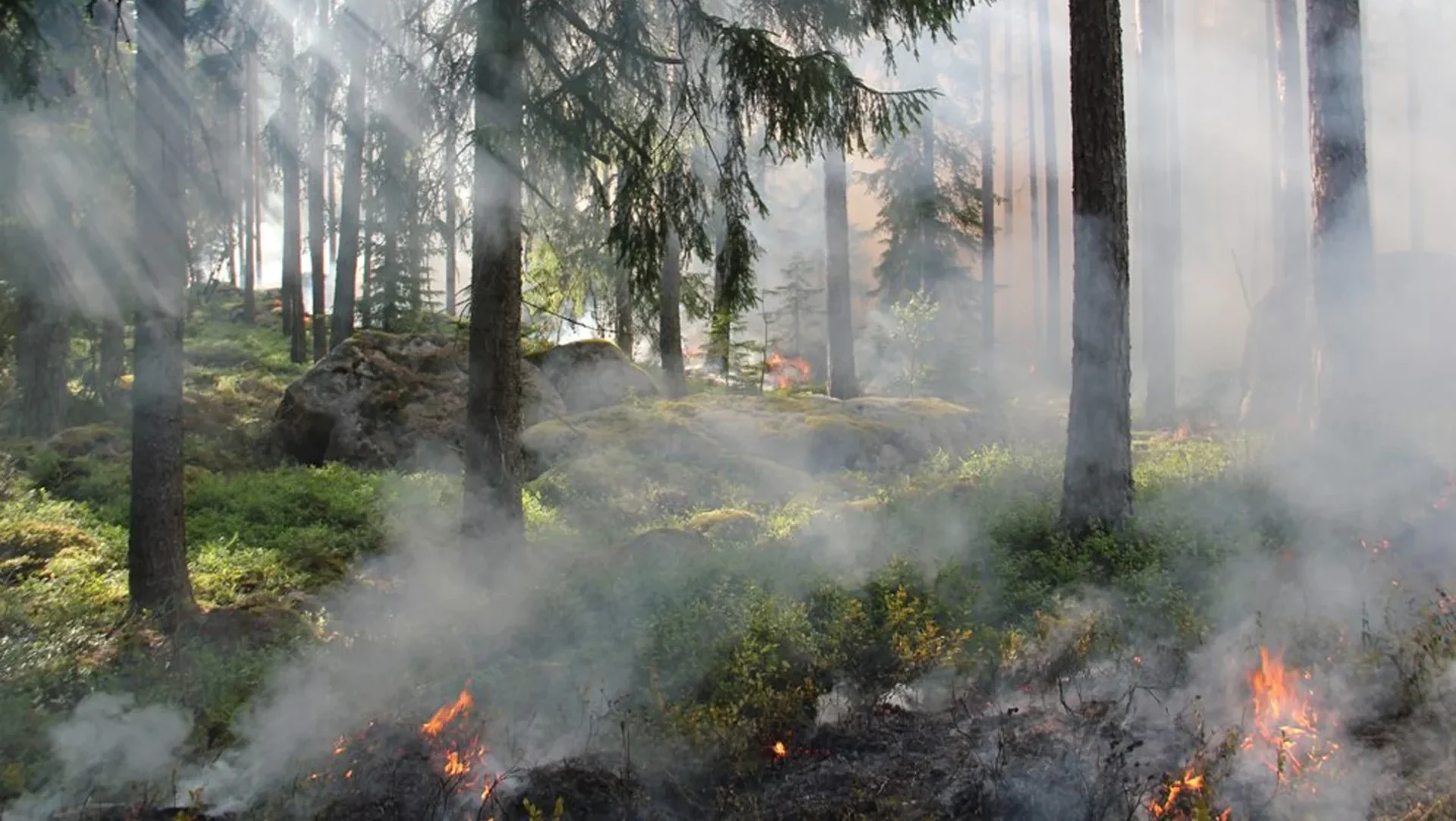 Incendios Ourem