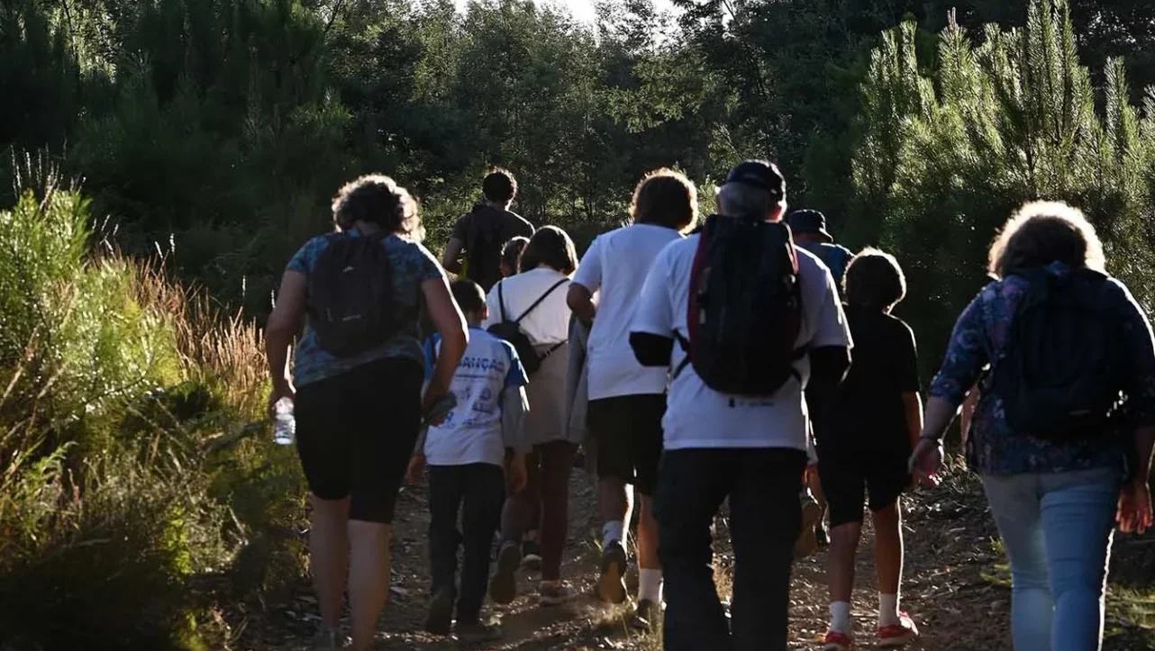 P11 Castanheira De Pera Caminhadas Cmcp