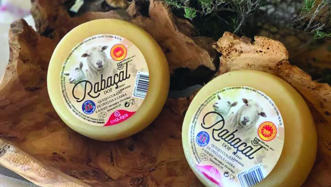 P23 Queijo Rabaçal Dr