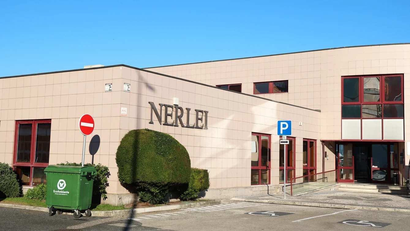 P3 Nerlei Lfc