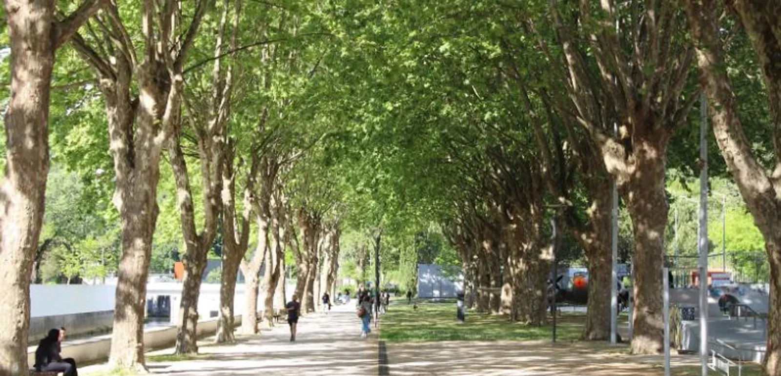 P3 Parque Aviao Dr