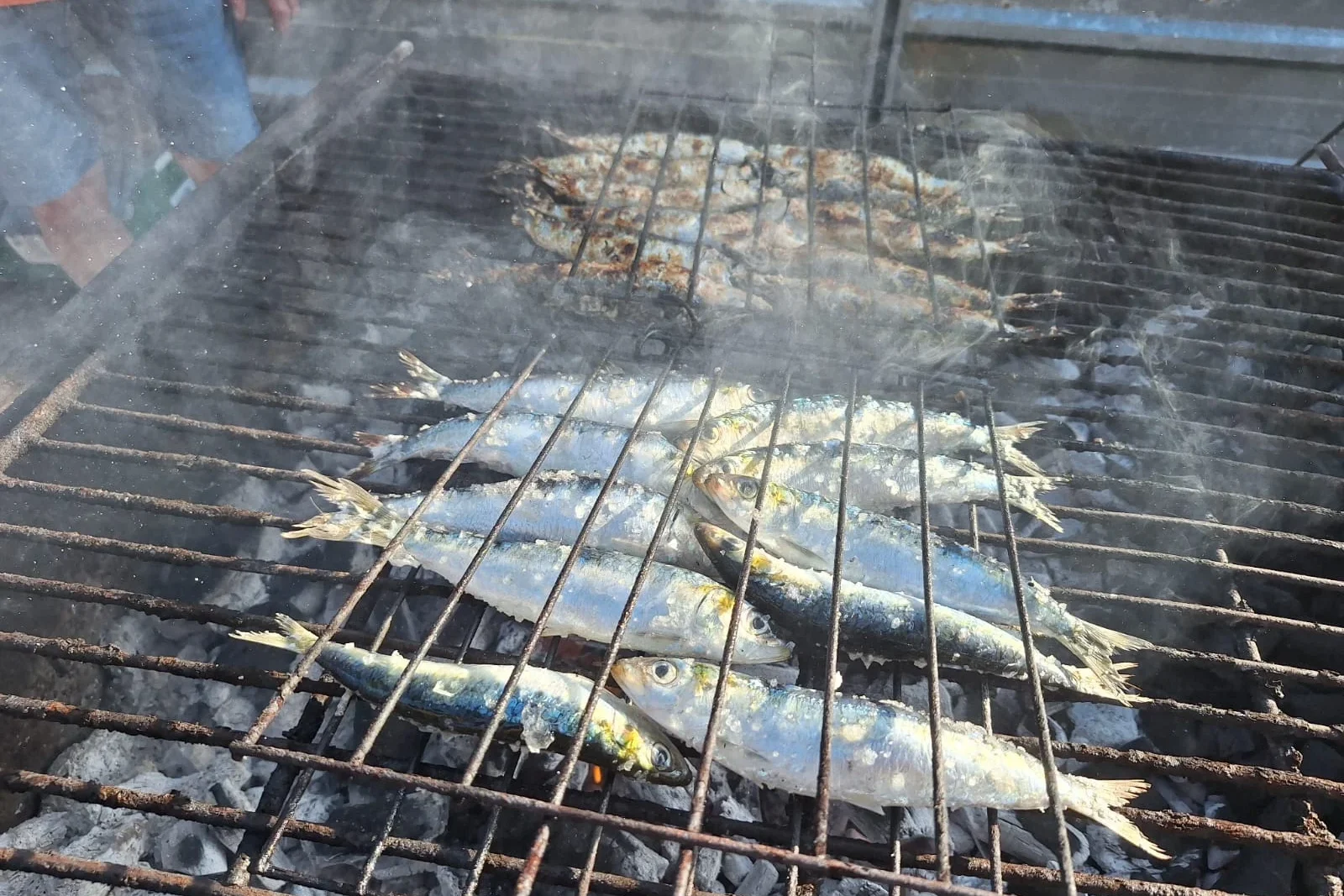 Festa Da Sardinha Pedrógão