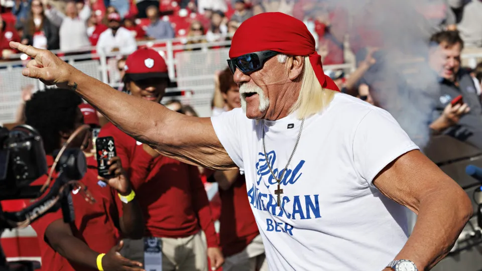 Hulk Hogan2