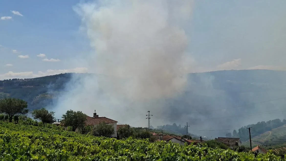 Incêndio Sabrosa
