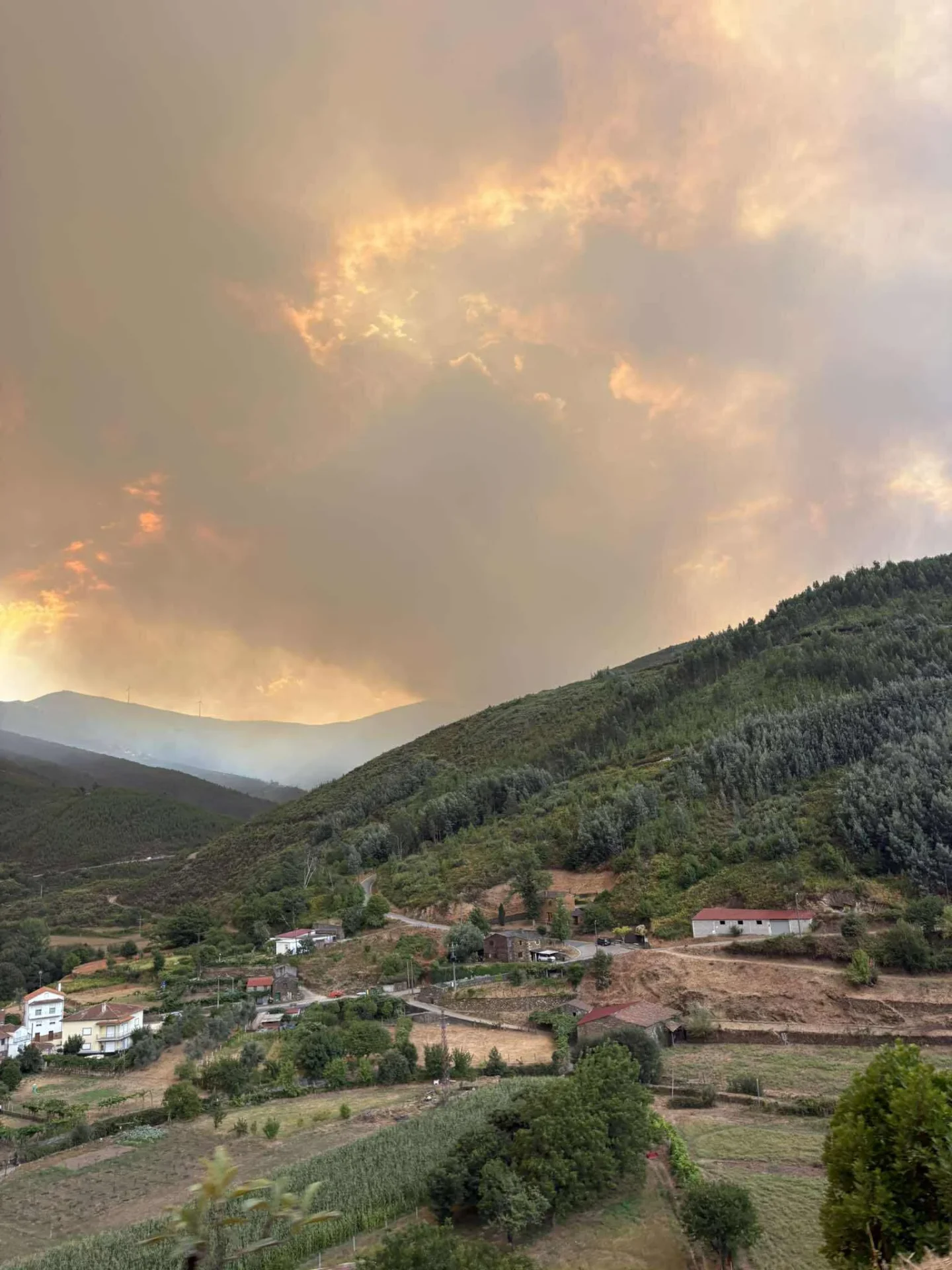 Arganil Incendio