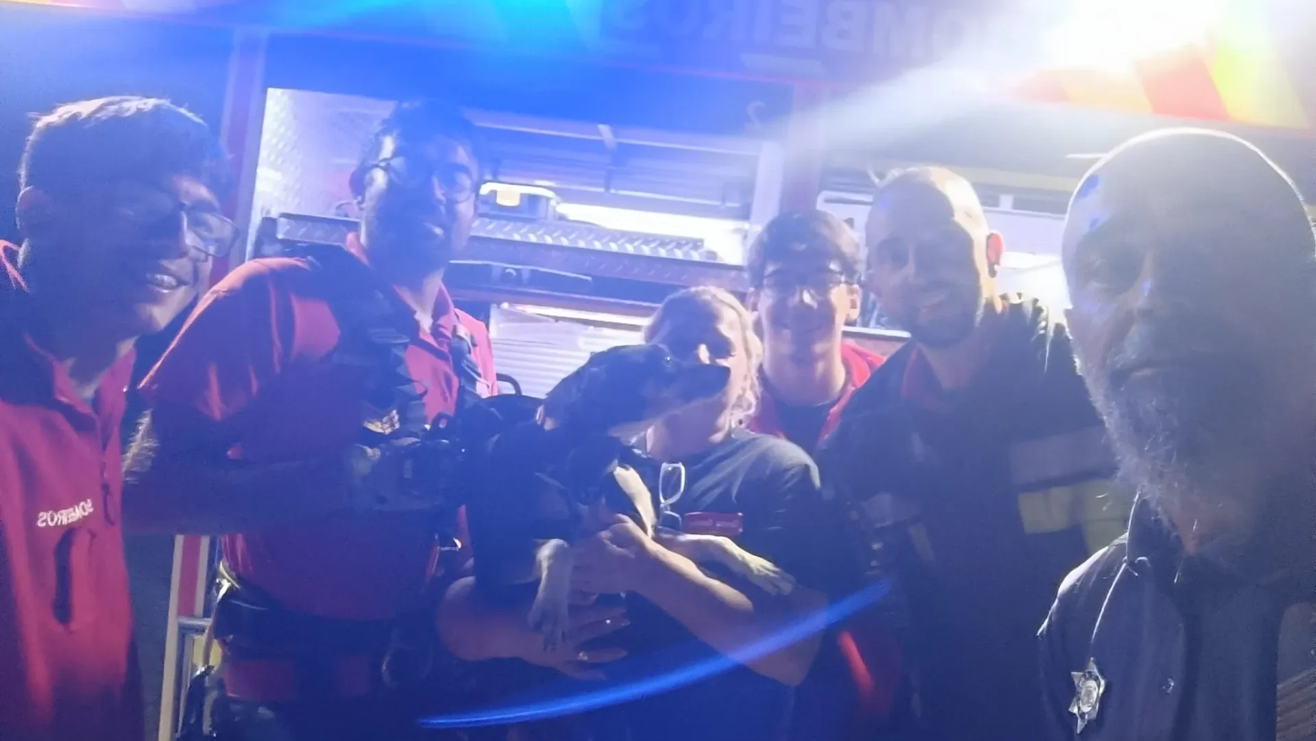 Cão Resgatado De Arriba Na Praia Dos Frades Em Peniche