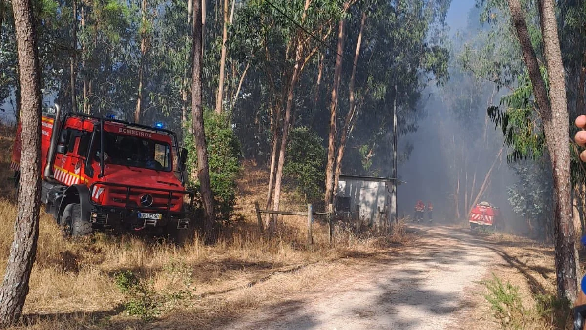 Incendio Galin Has