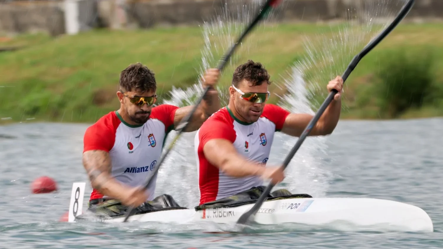 Joao Ribeiro E Messias Baptista