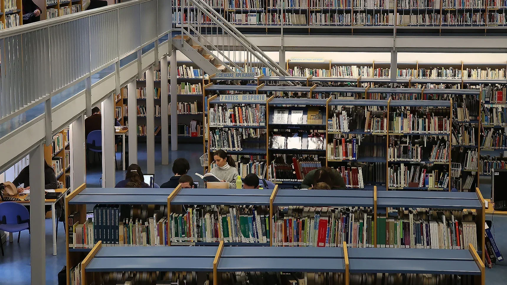 P2 Biblioteca Municipal Leiria Lfc
