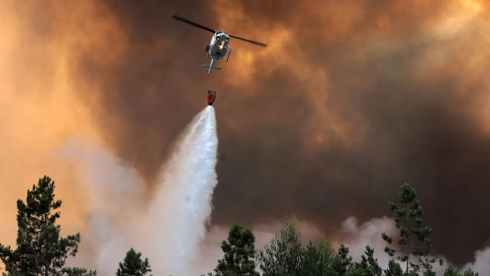 P4 Incêndio Arrabal Caranguejeira