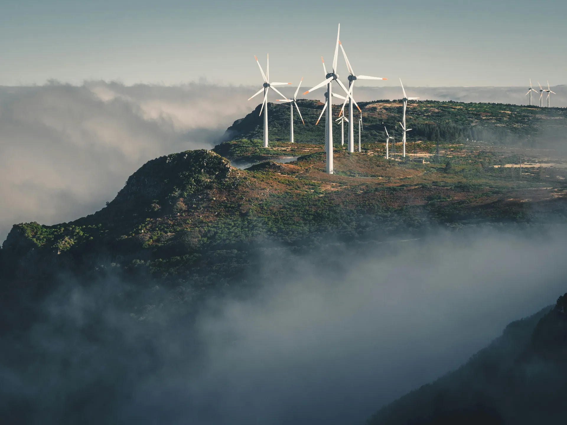 Energia Eólica