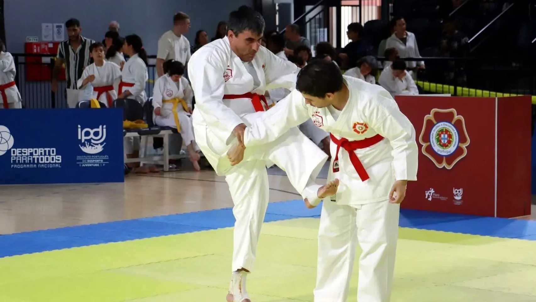 Ju Jitsu Adaptado Lobos De Leiria