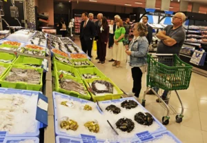 Mercadona Vale Sepal 3