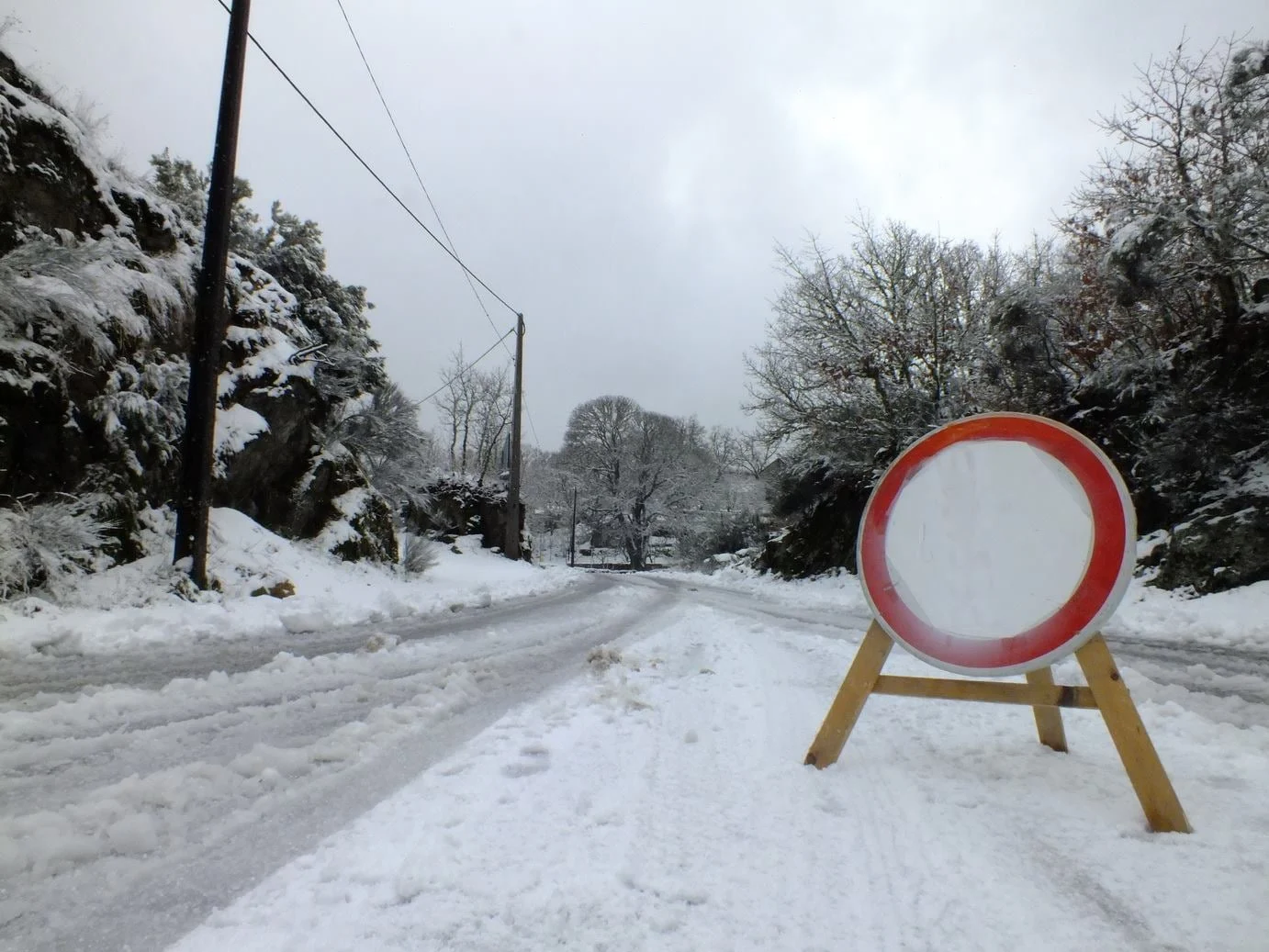 Neve