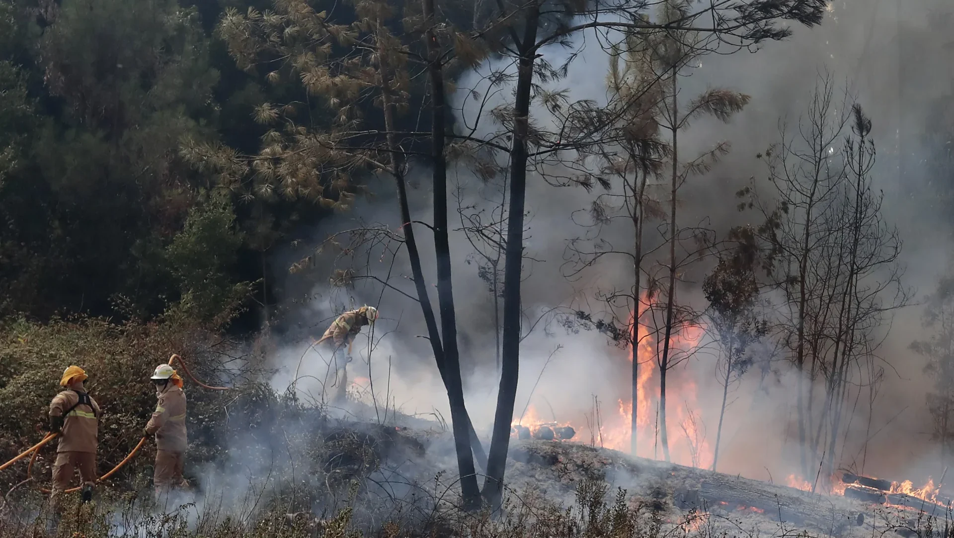 P10 Incendio Lfc Arquivo 2