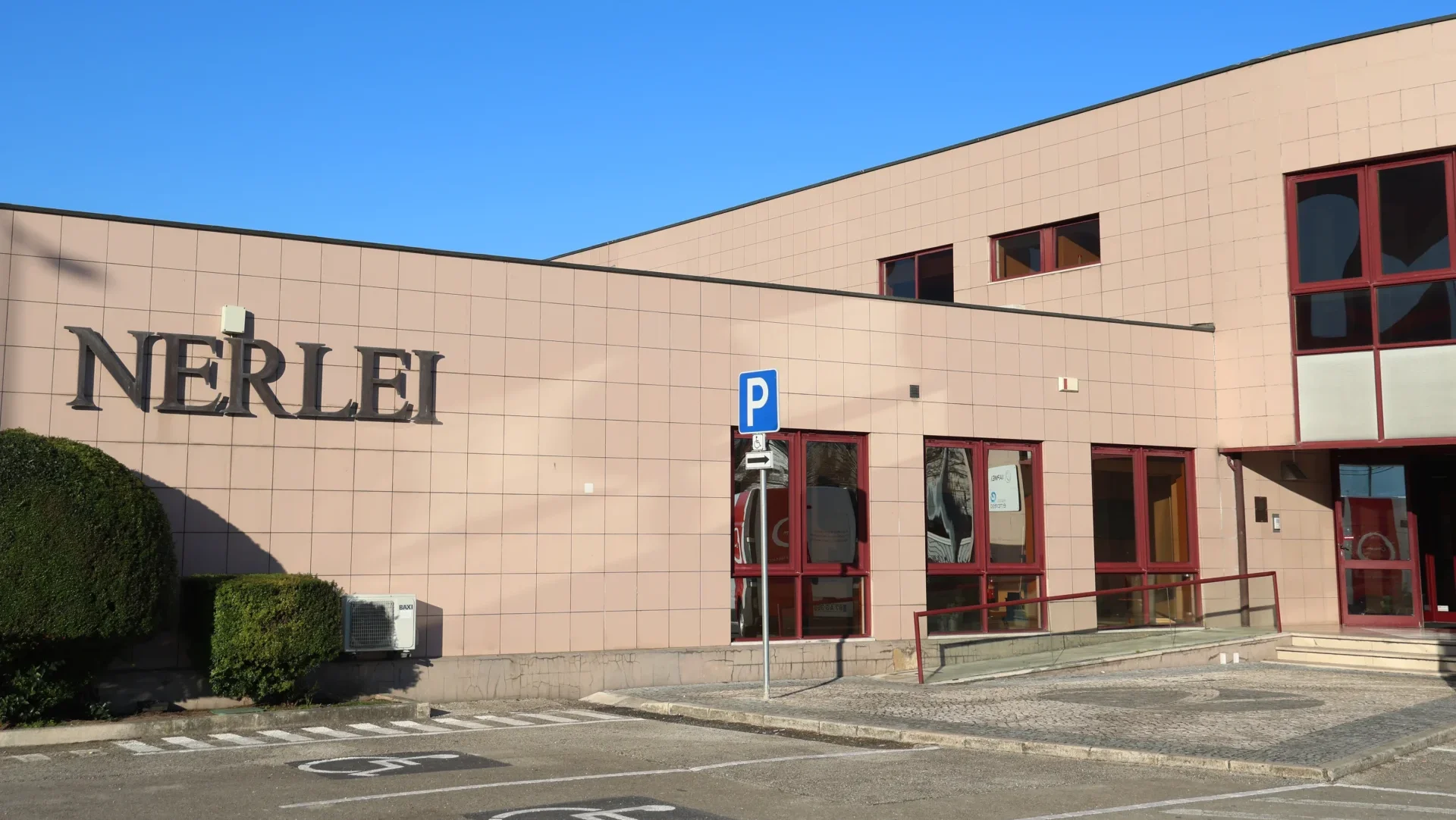 P19 Nerlei Lfc