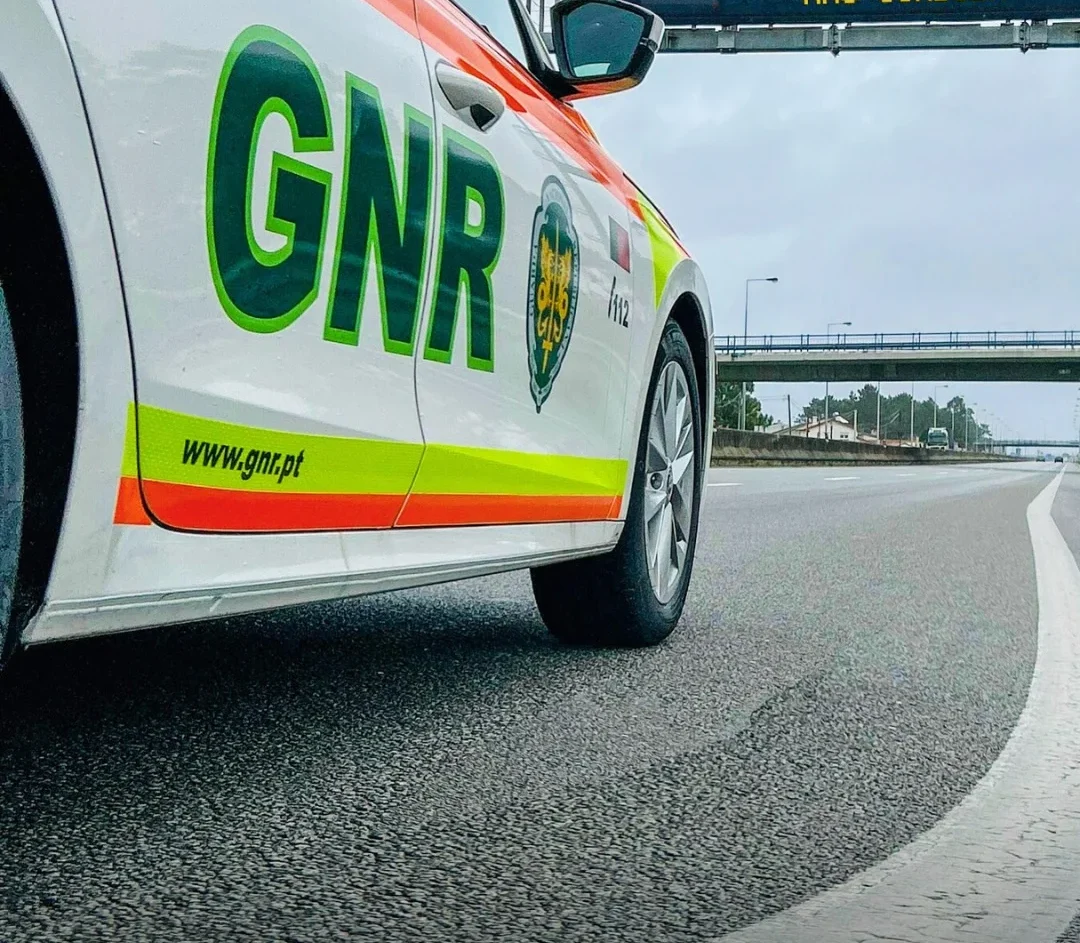 Gnr3