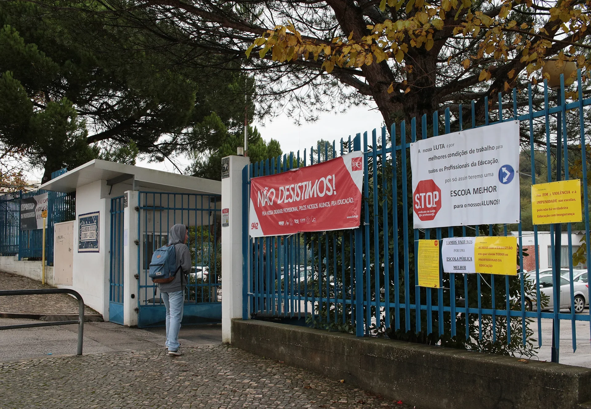 Greve