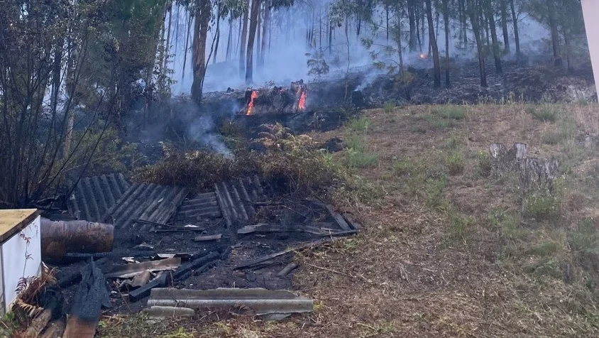 Incendio Florestal