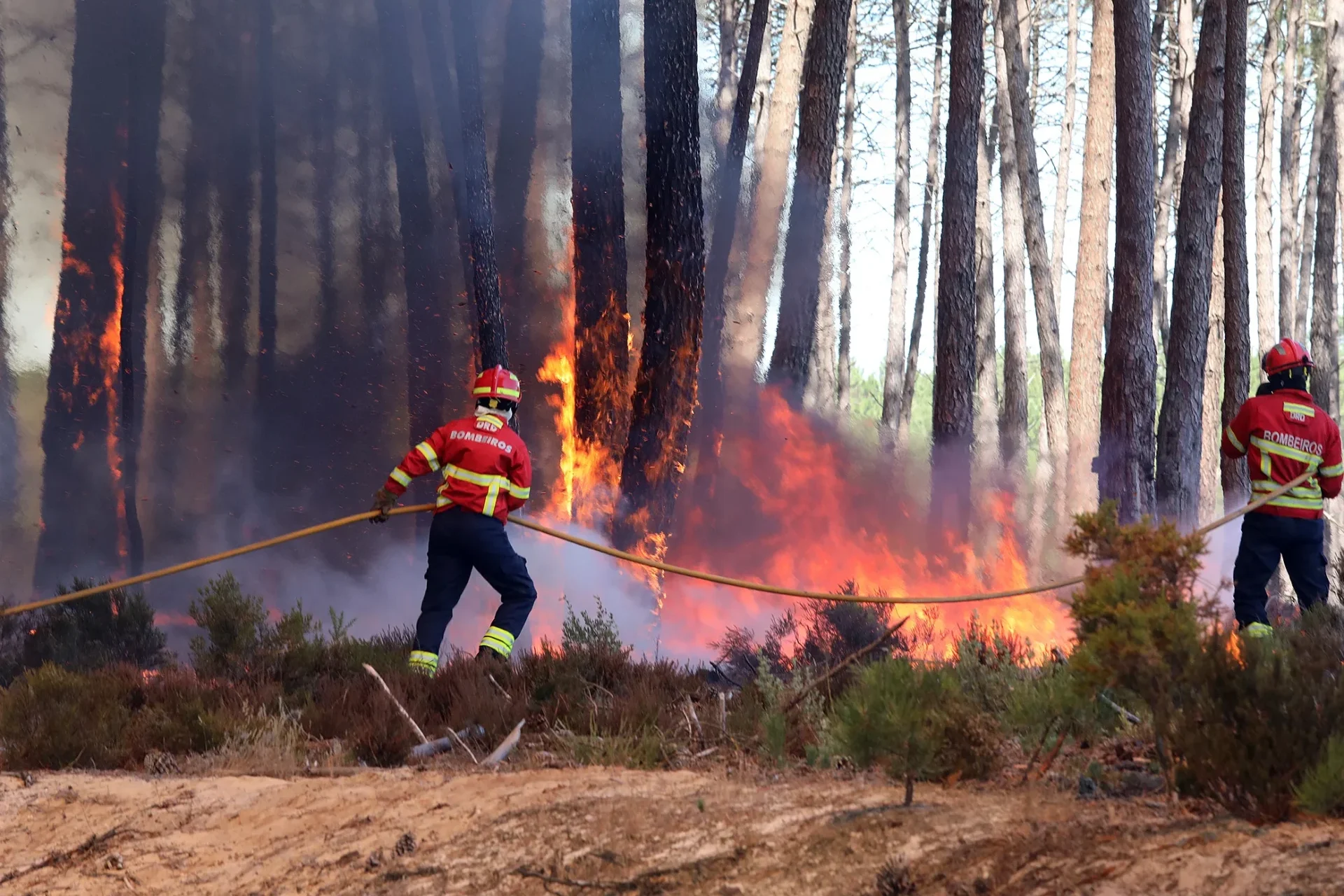 P24 Incendio Lfc