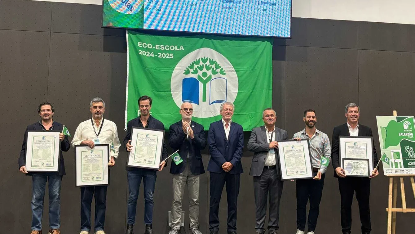 P3 Bandeiras Verdes Cml