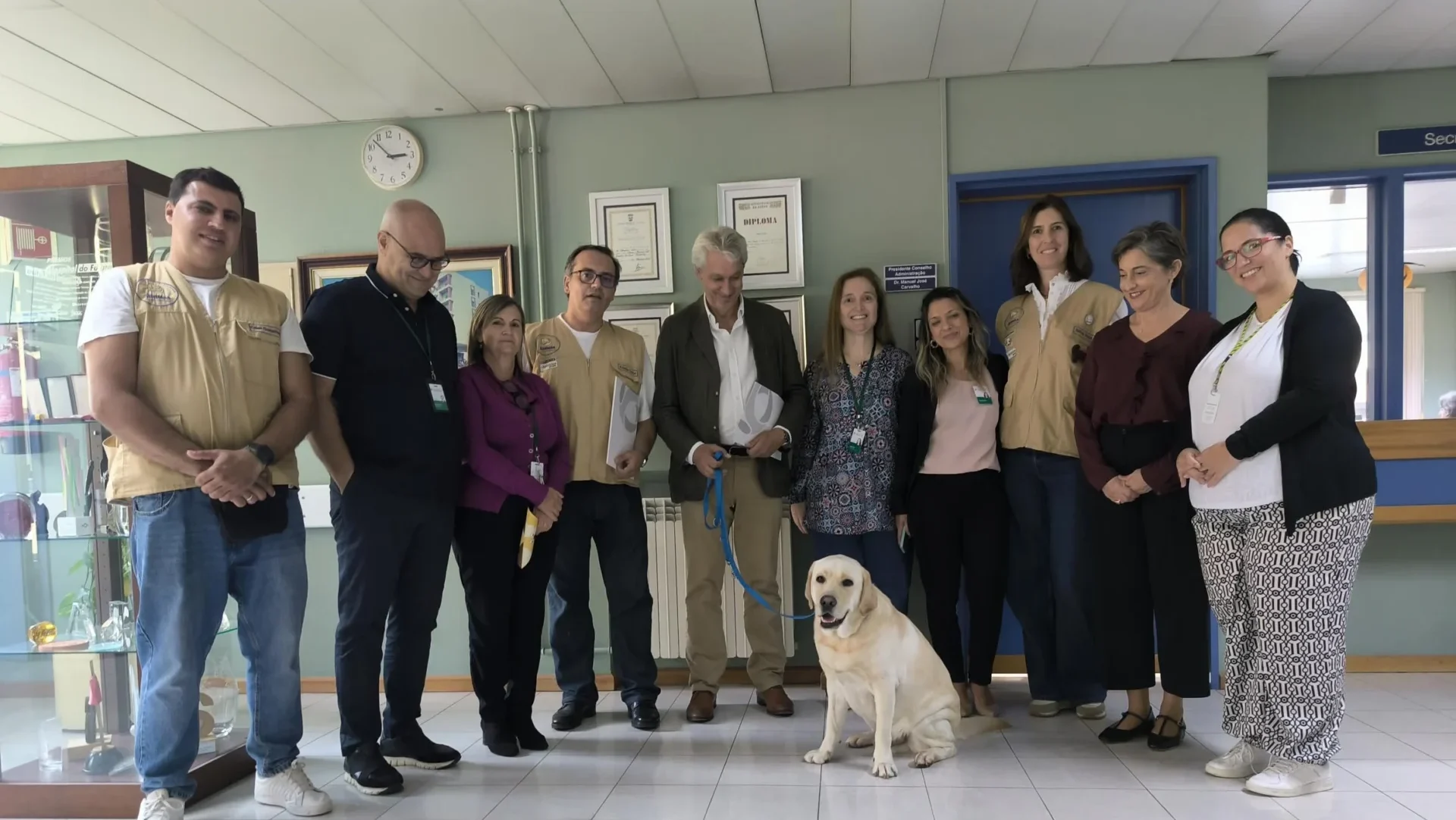 P4 Doctor Dog Ulsrl