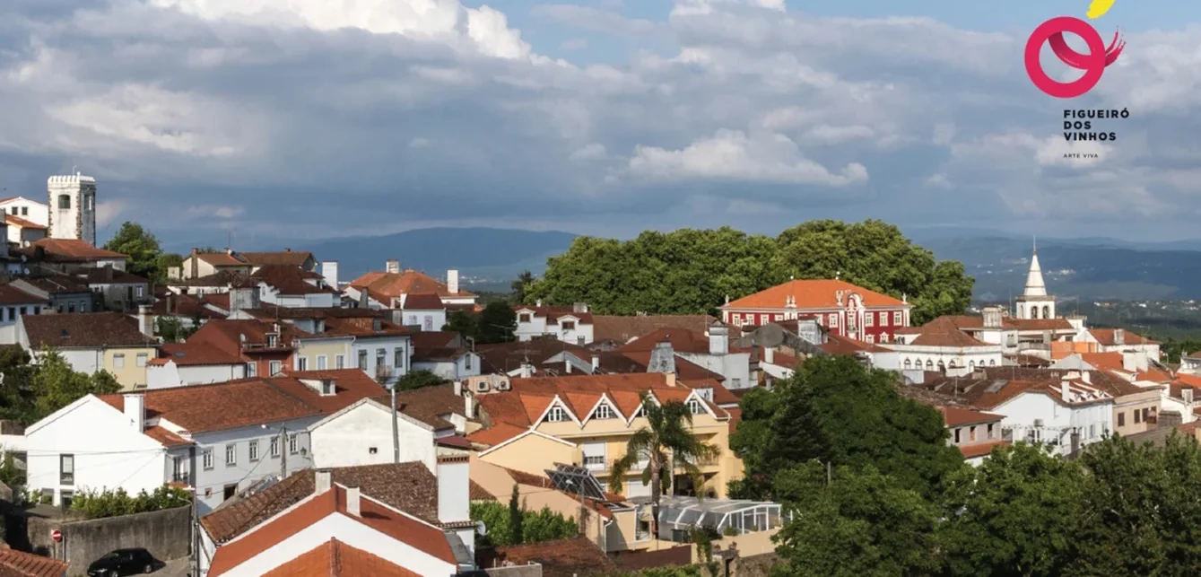 P9 Figueiro Vinhos Cmfv