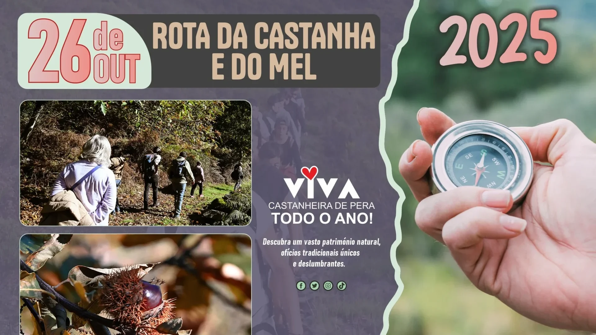 Rota Castanha