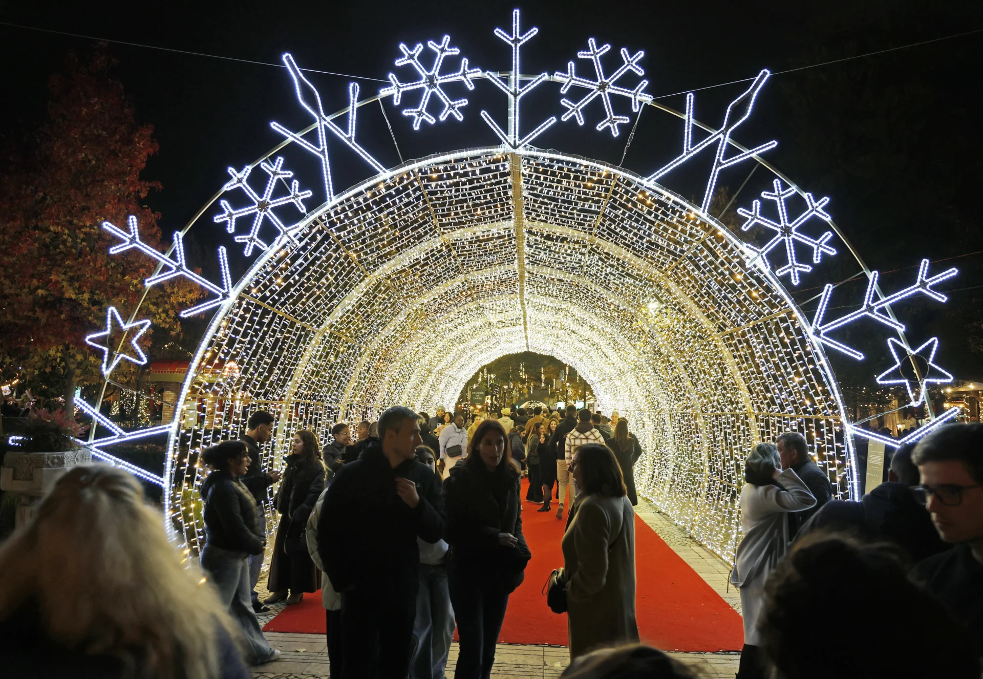 Inauguração Iluminação Natal Leiria Lfc 34