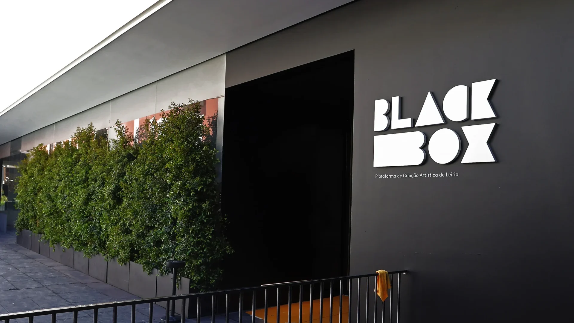 P2 Black Box Lfc
