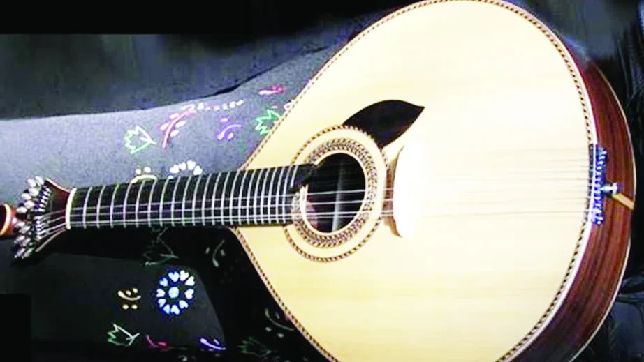 P5 Fado