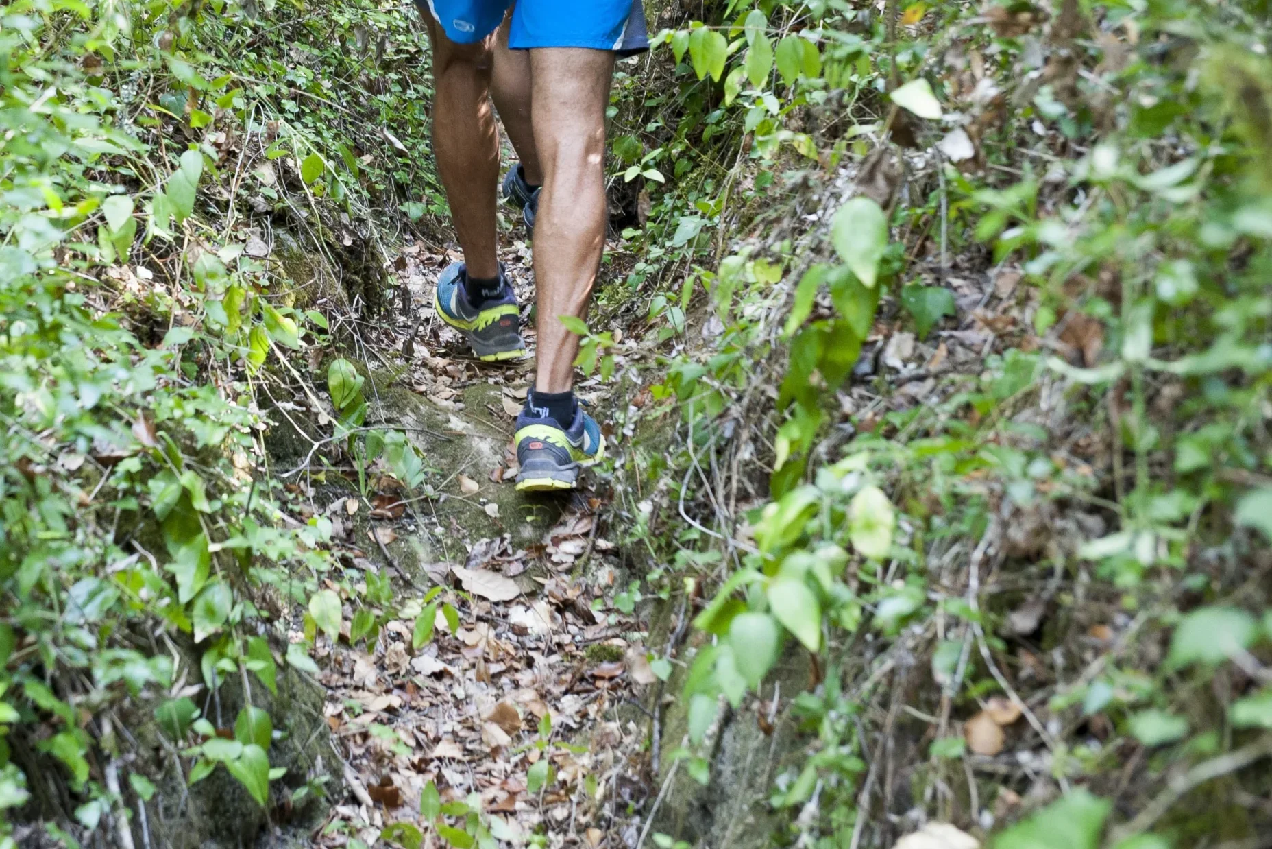 Trail Running