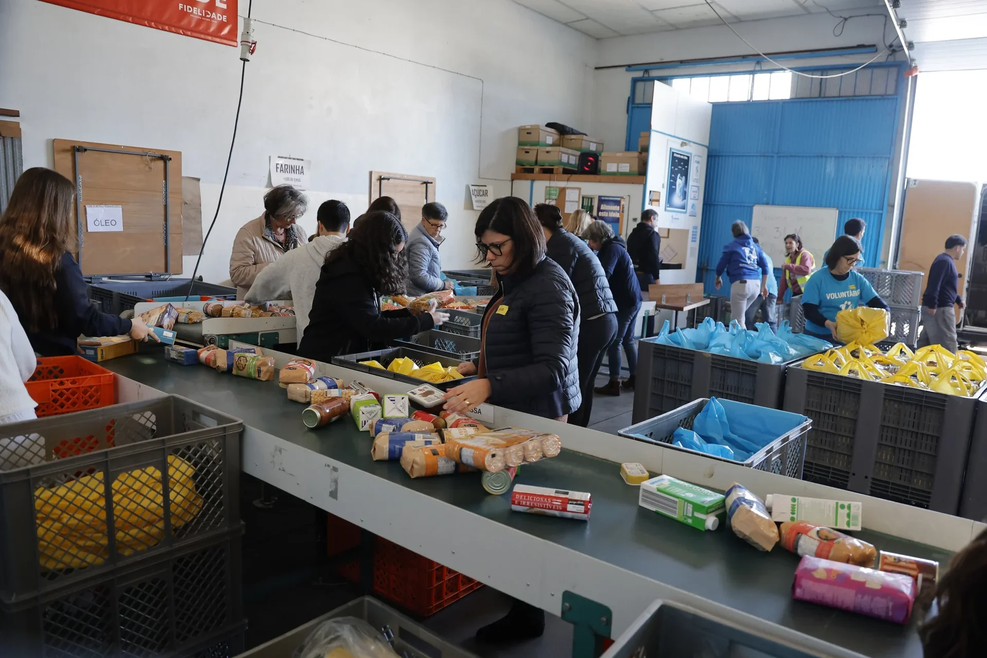 Banco Alimentar Recolha
