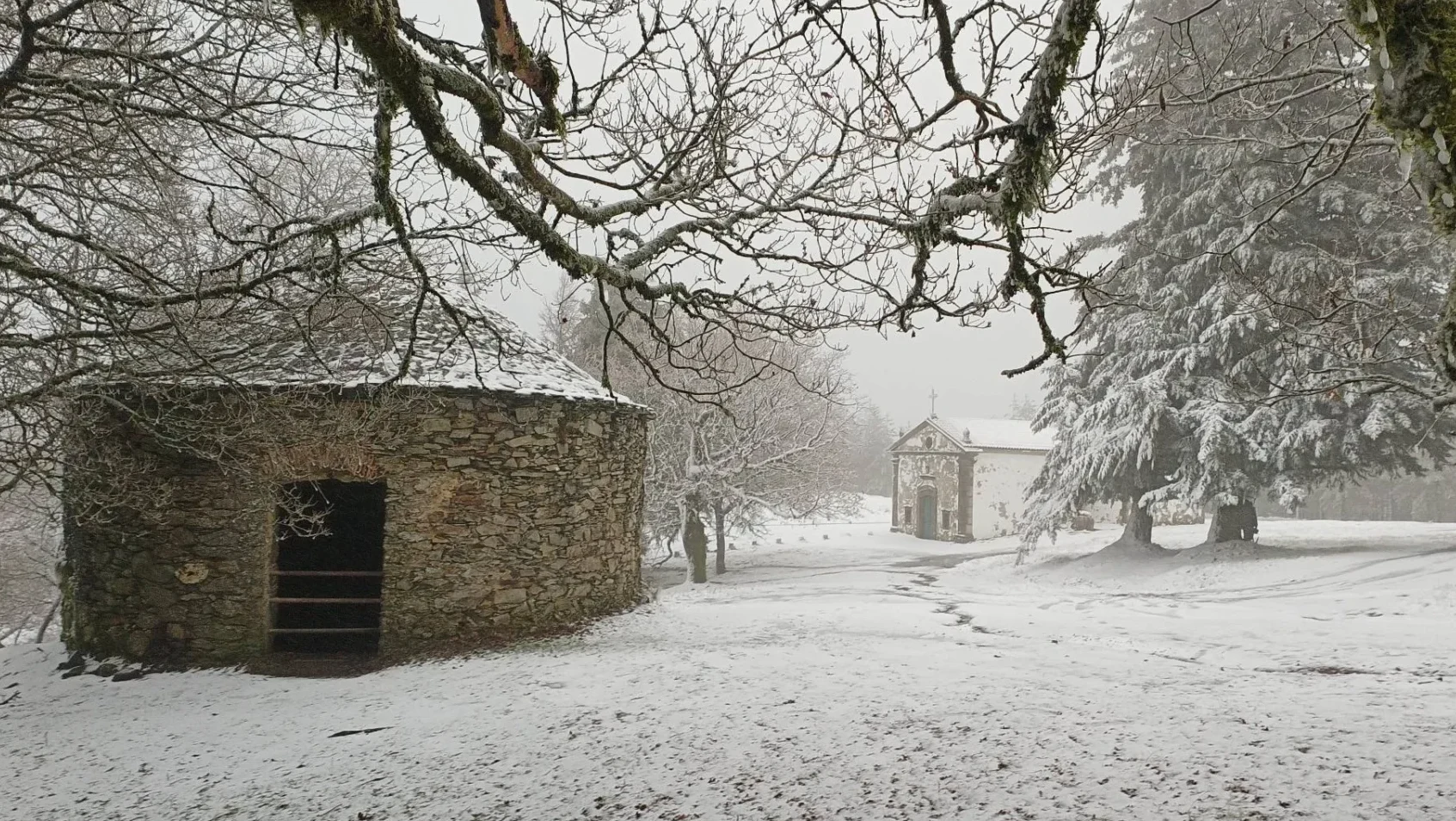 Coentral Neve