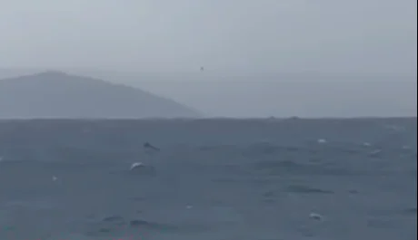Praticante De Kitsurf Nazare Resgate