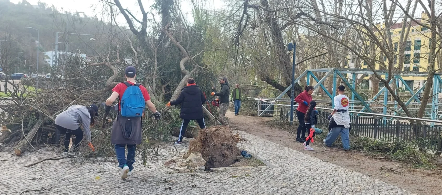 Ação Solidária Reerguer Leiria 6