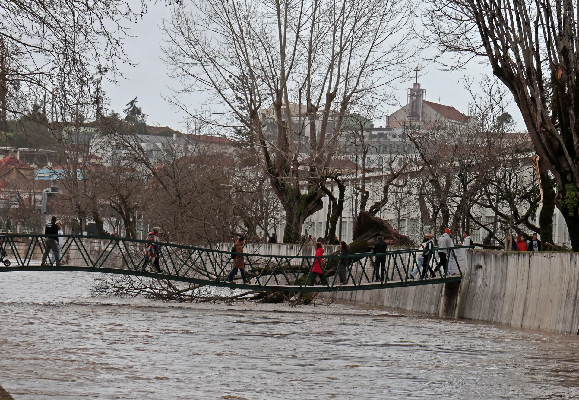 Arvores Caidas Tempestade 10 3
